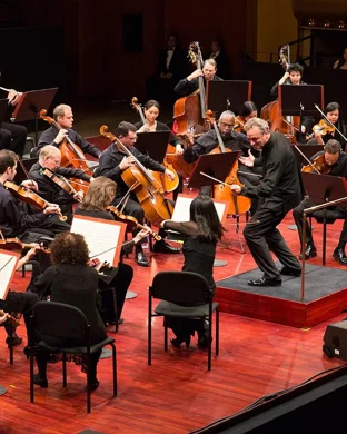 Lords Of The Sound Orchestra