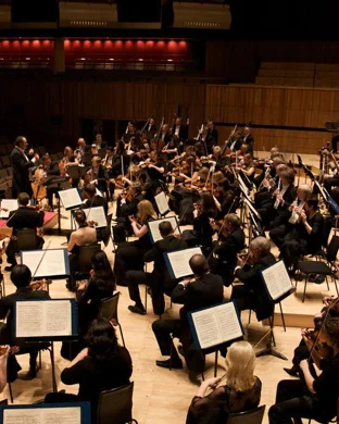 My Hero Academia In Concert