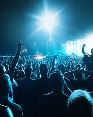 Pigeons Playing Ping Pong