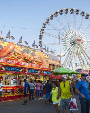 Maryland Fall Home, Garden & Craft Show