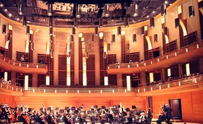 Baltimore Symphony Orchestra