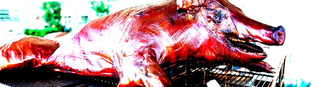 Beer, Bourbon and BBQ Festival