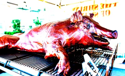 Beer, Bourbon and BBQ Festival