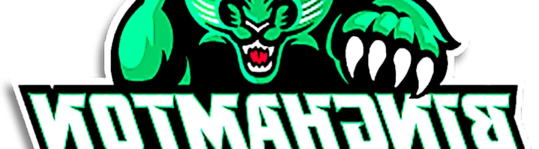 Binghamton Bearcats