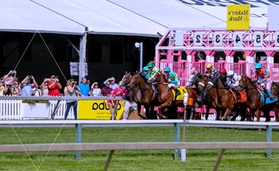 Black Eyed Susan Stakes