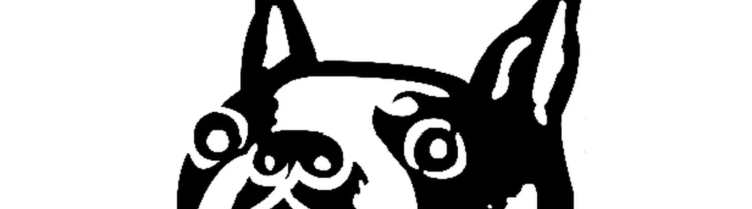 Boston University Terriers