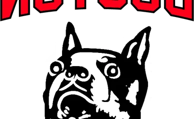 Boston University Terriers