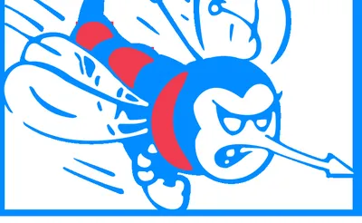 Delaware State Hornets