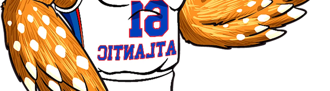 Florida Atlantic Owls