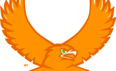 Lehigh Mountain Hawks