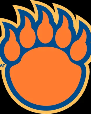 Morgan State Bears vs. Delaware State Hornets