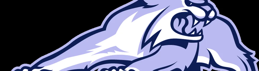 New Hampshire Wildcats