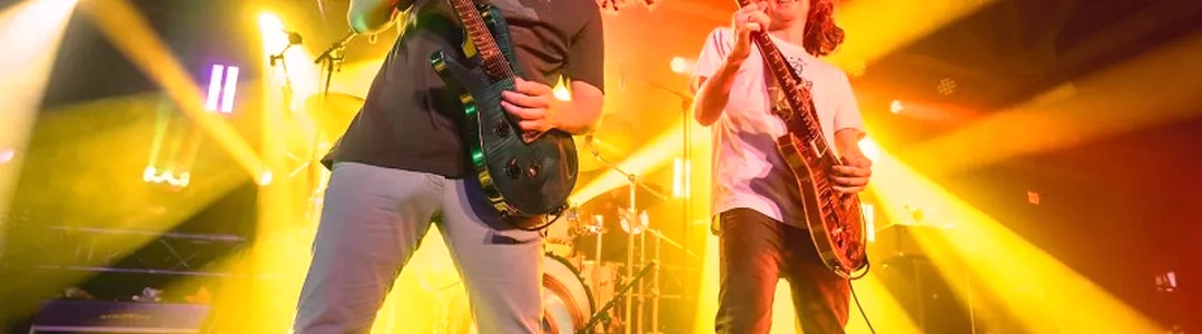 Pigeons Playing Ping Pong