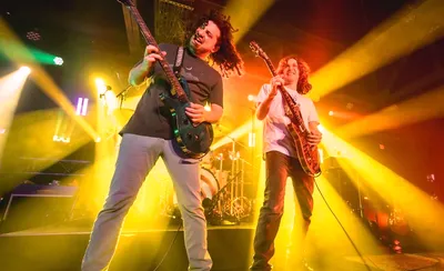 Pigeons Playing Ping Pong