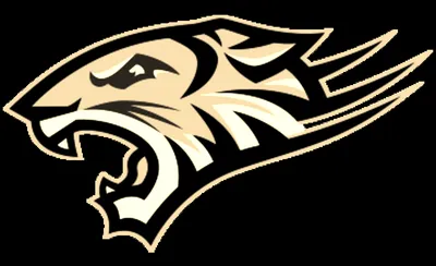 Towson Tigers