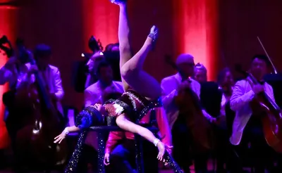 Troupe Vertigo