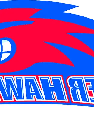 UMass Lowell River Hawks