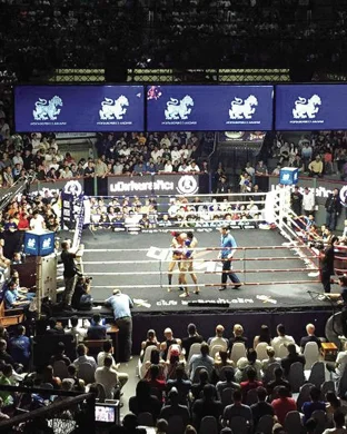 Championship Pro Boxing