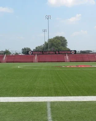 Micro Wrestling Federation