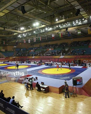 Micro Wrestling Federation