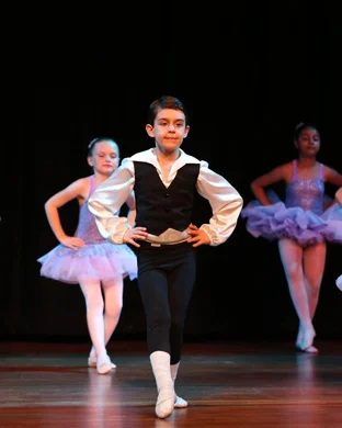 Dancing with the Stars Live theatre performance